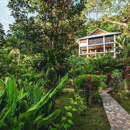 Roam Yoga & Wellness Lodge 博卡斯德尔托罗 外观 照片