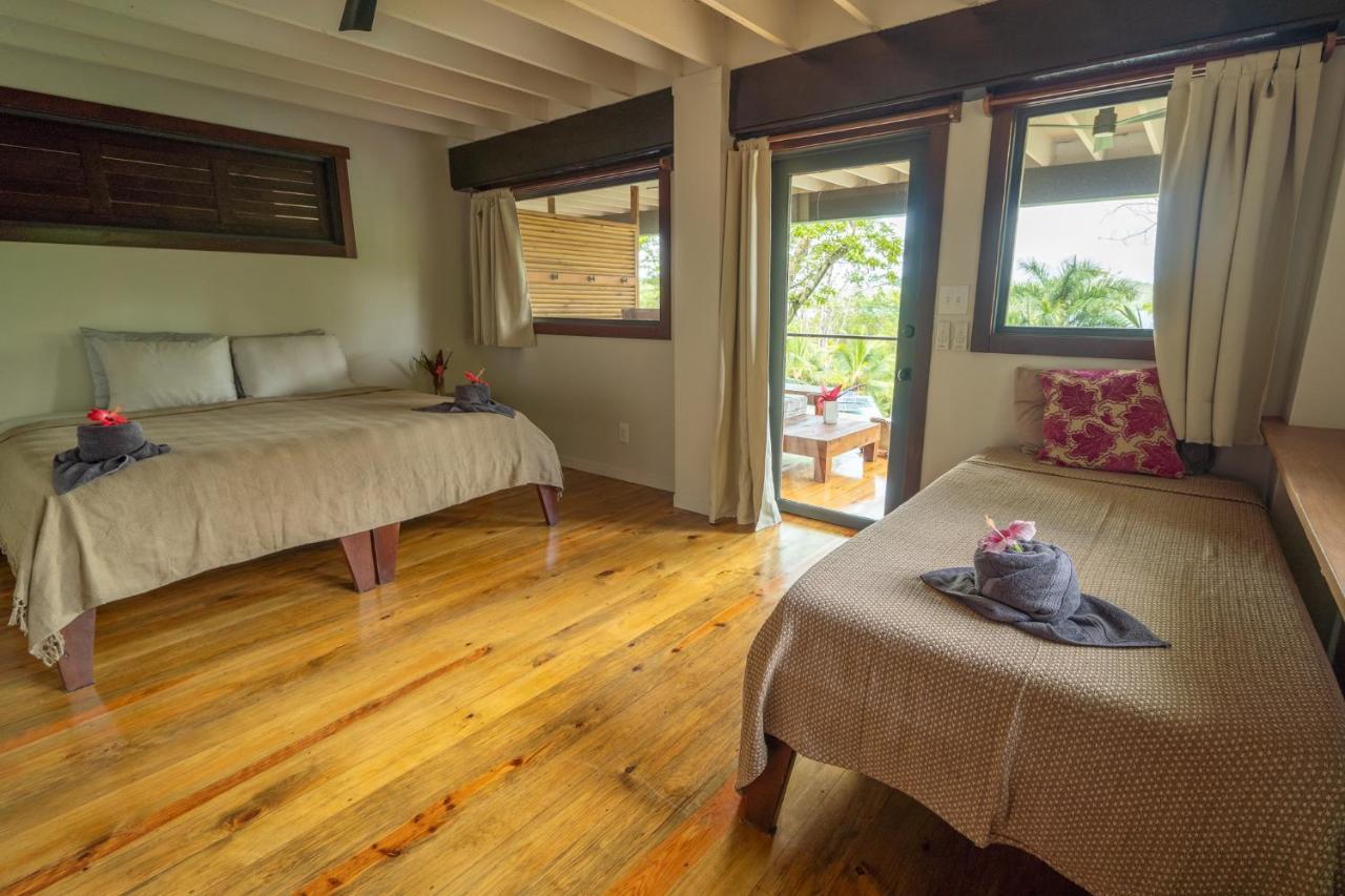 Roam Yoga & Wellness Lodge 博卡斯德尔托罗 外观 照片