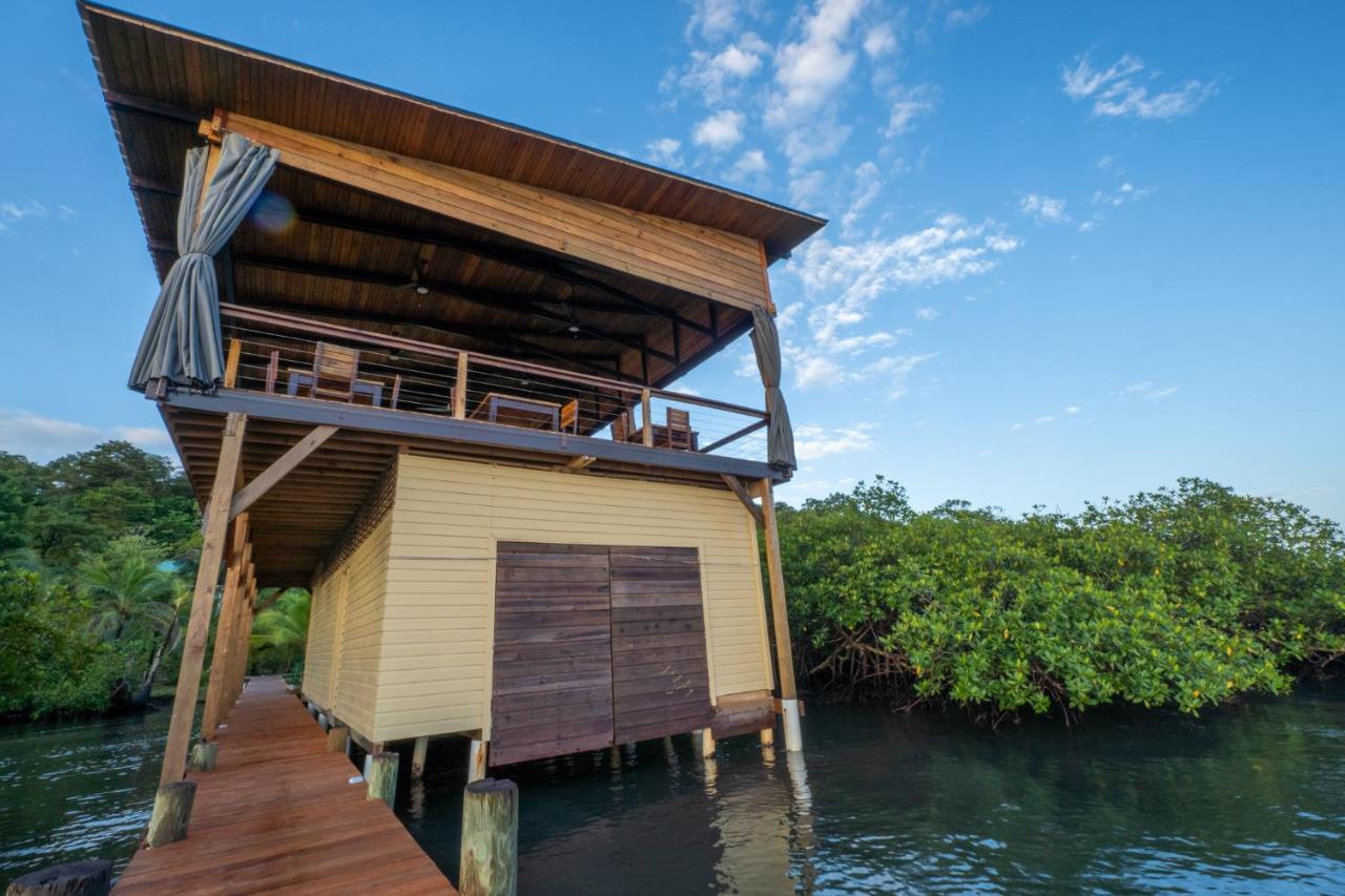 Roam Yoga & Wellness Lodge 博卡斯德尔托罗 外观 照片