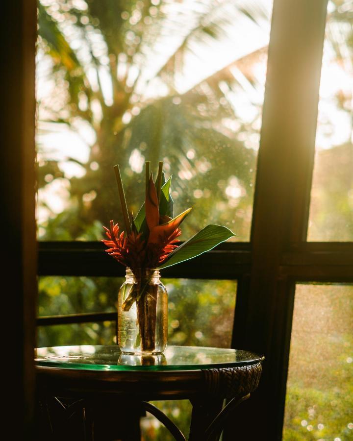 Roam Yoga & Wellness Lodge 博卡斯德尔托罗 外观 照片