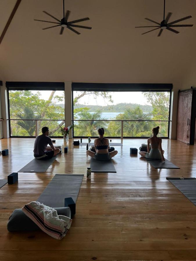 Roam Yoga & Wellness Lodge 博卡斯德尔托罗 外观 照片