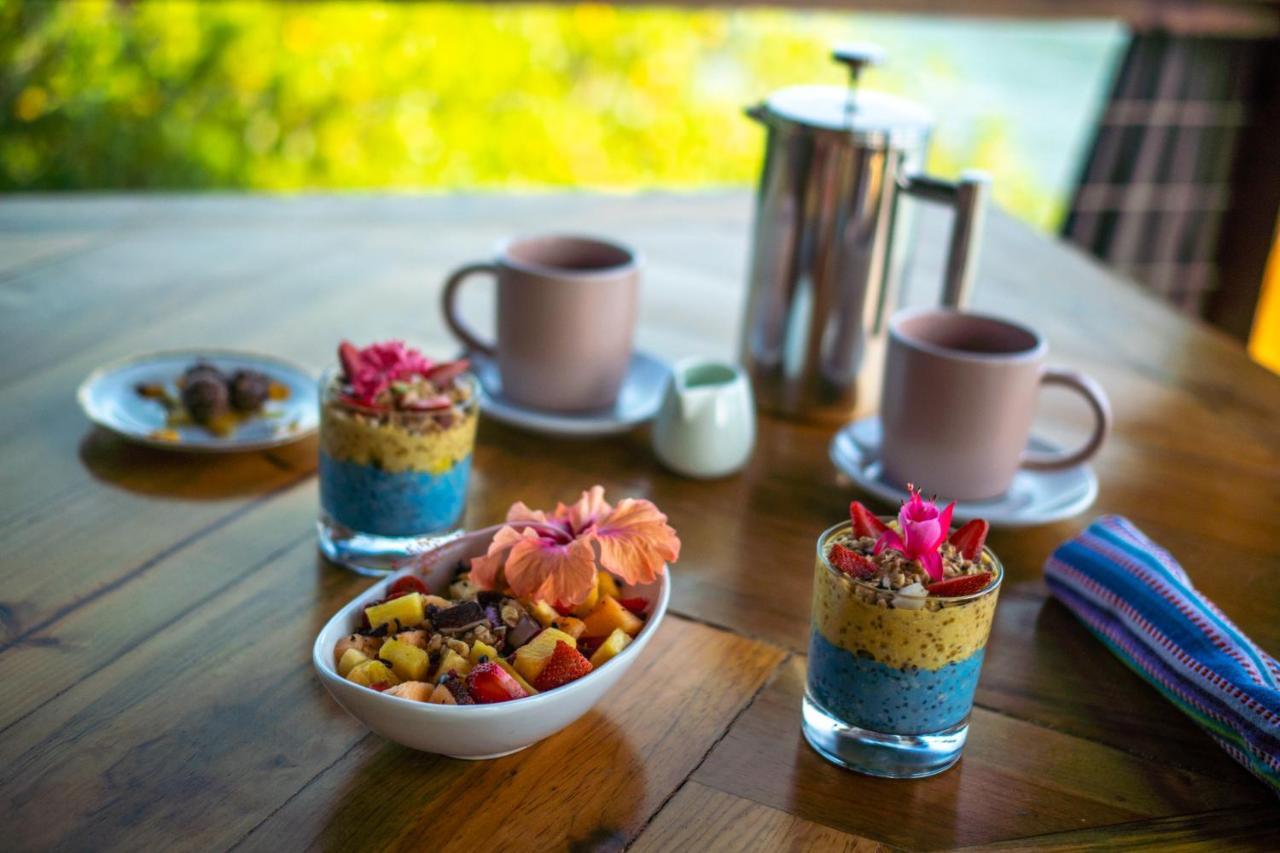Roam Yoga & Wellness Lodge 博卡斯德尔托罗 外观 照片