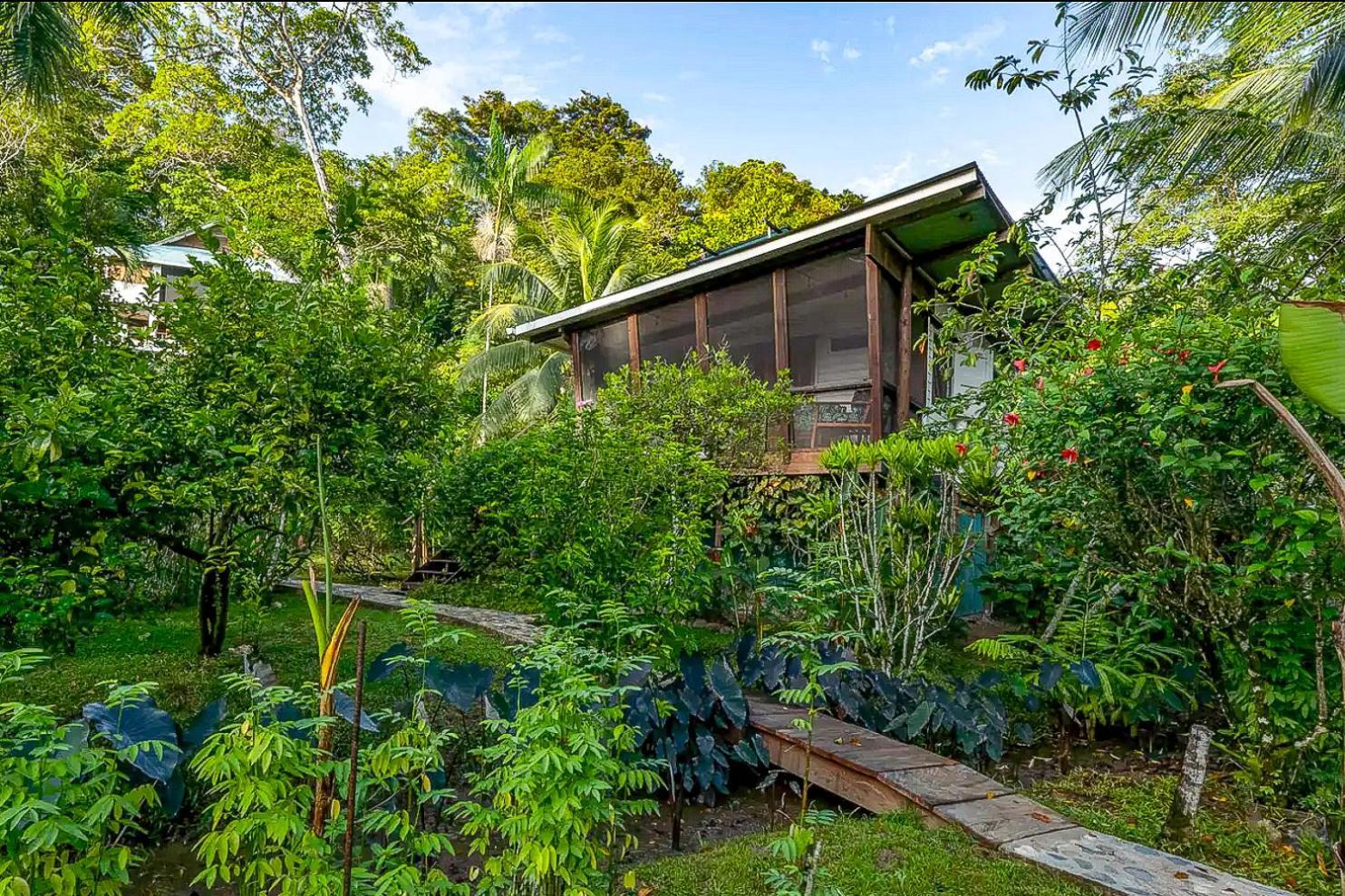Roam Yoga & Wellness Lodge 博卡斯德尔托罗 外观 照片