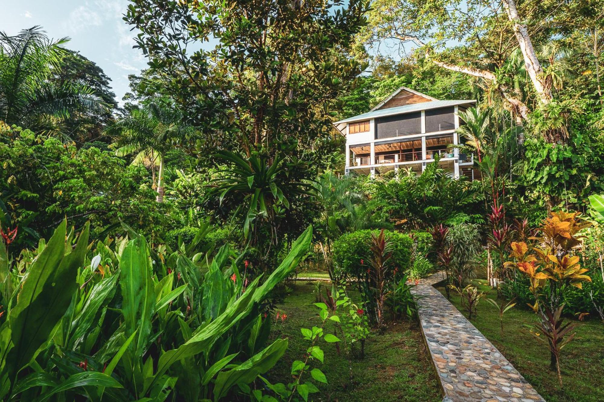 Roam Yoga & Wellness Lodge 博卡斯德尔托罗 外观 照片
