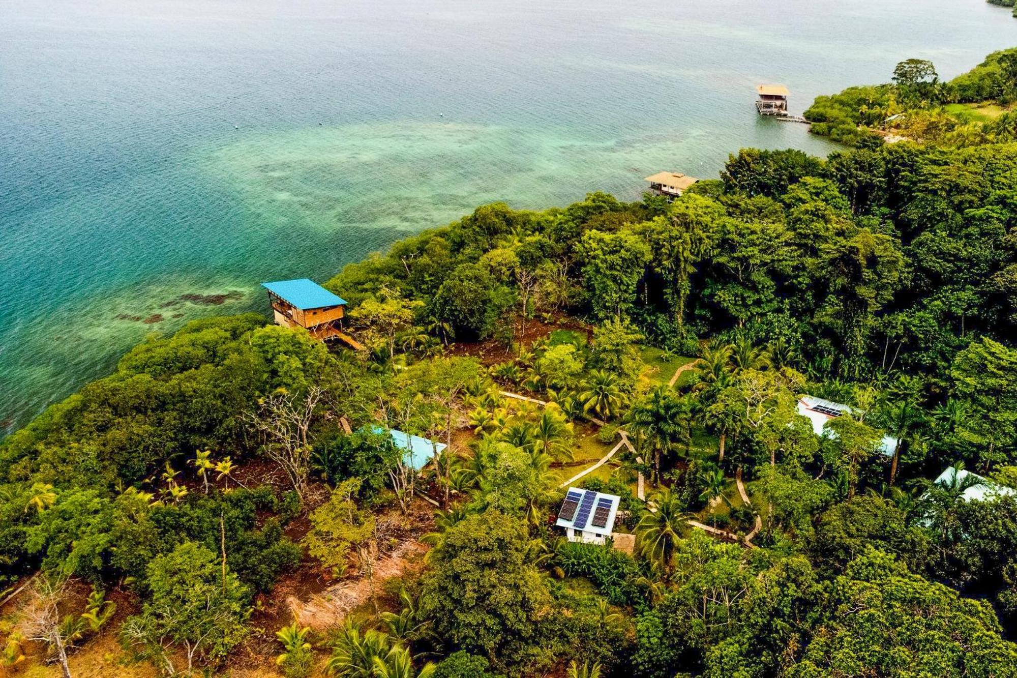 Roam Yoga & Wellness Lodge 博卡斯德尔托罗 外观 照片
