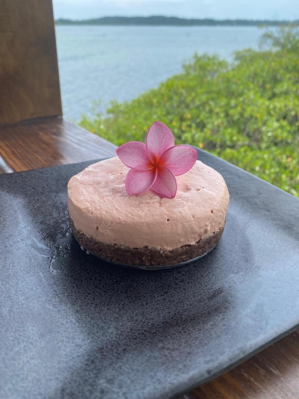 Roam Yoga & Wellness Lodge 博卡斯德尔托罗 外观 照片